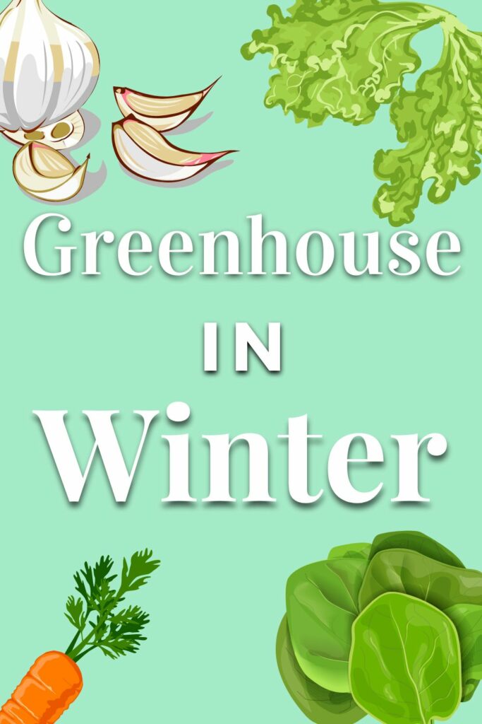 What to grow in a greenhouse in winter Patient Gardener