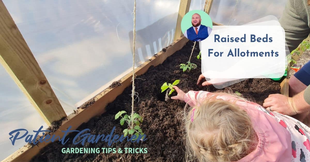 Raised Beds For Allotments