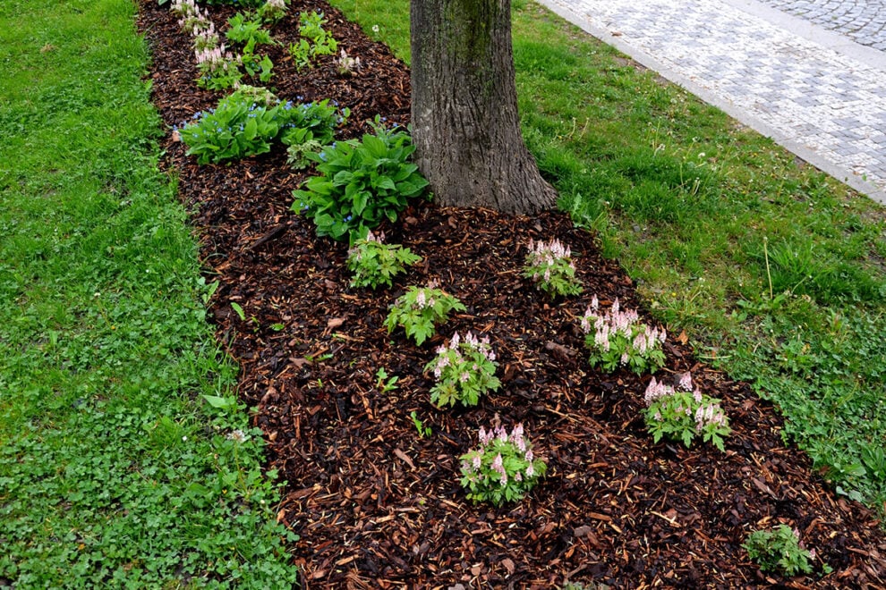 Can I Use Builders Sand In My Garden? - Patient Gardener