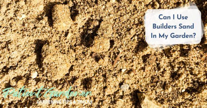 Can I Use Builders Sand In My Garden? – Patient Gardener