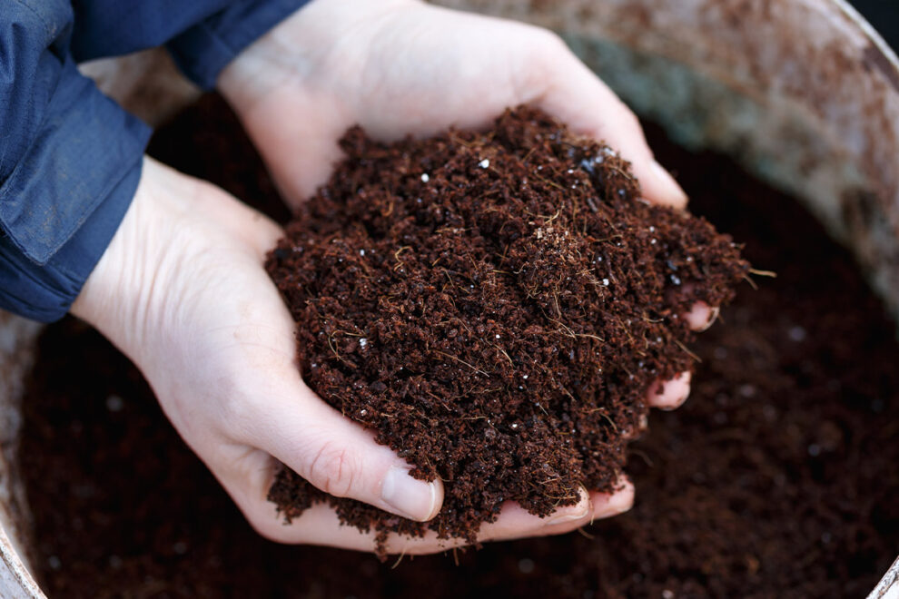 Can I Use Builders Sand In My Garden? - Patient Gardener