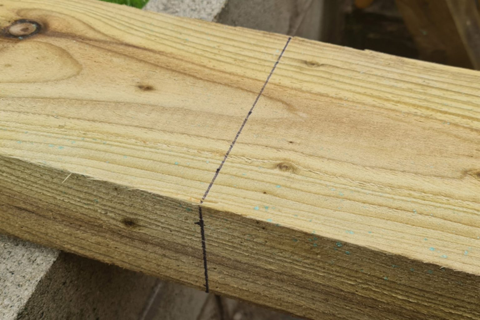 How To Cut Sleepers Patient Gardener