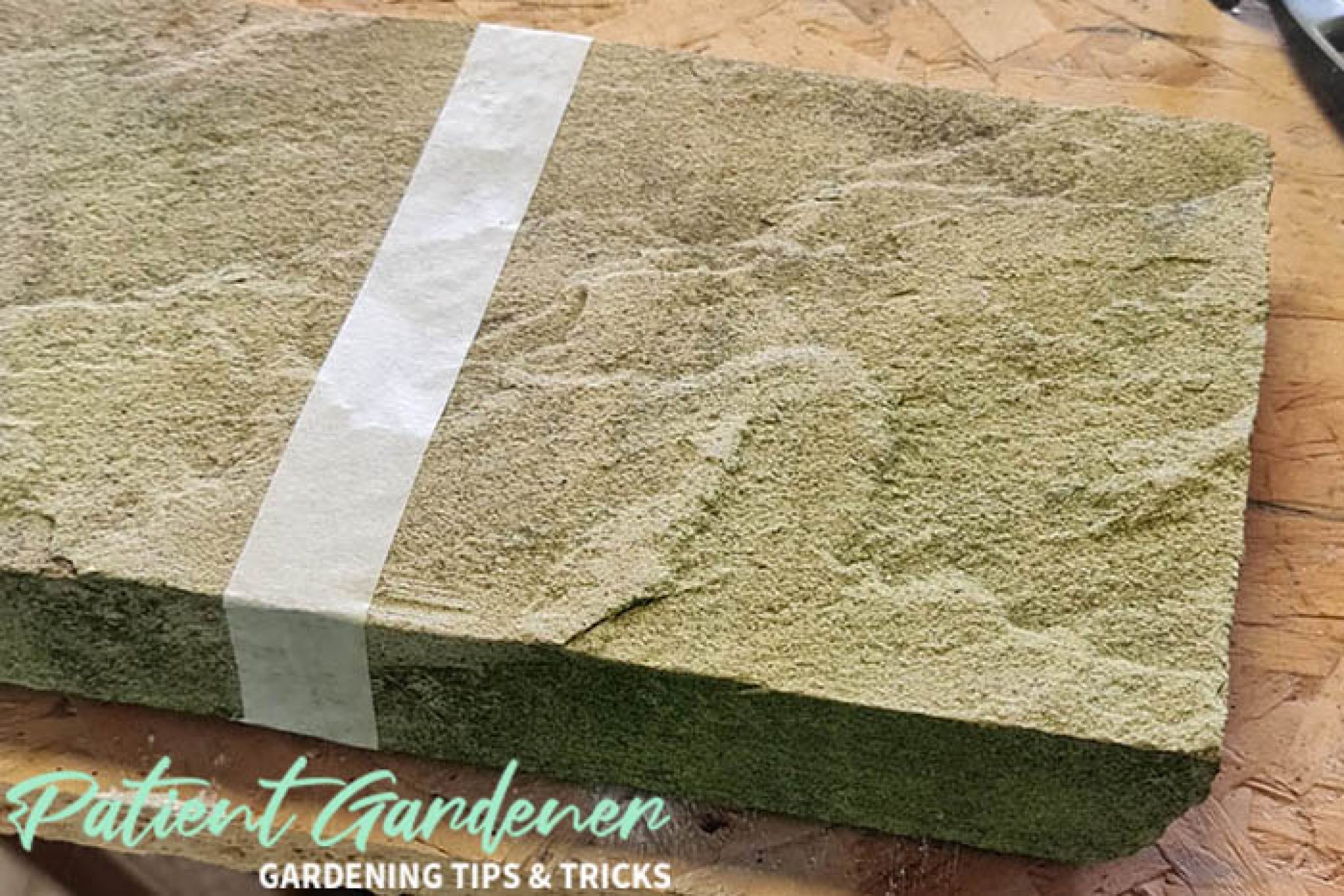Can You Use Masonry Paint on Patio Slabs? Patient Gardener