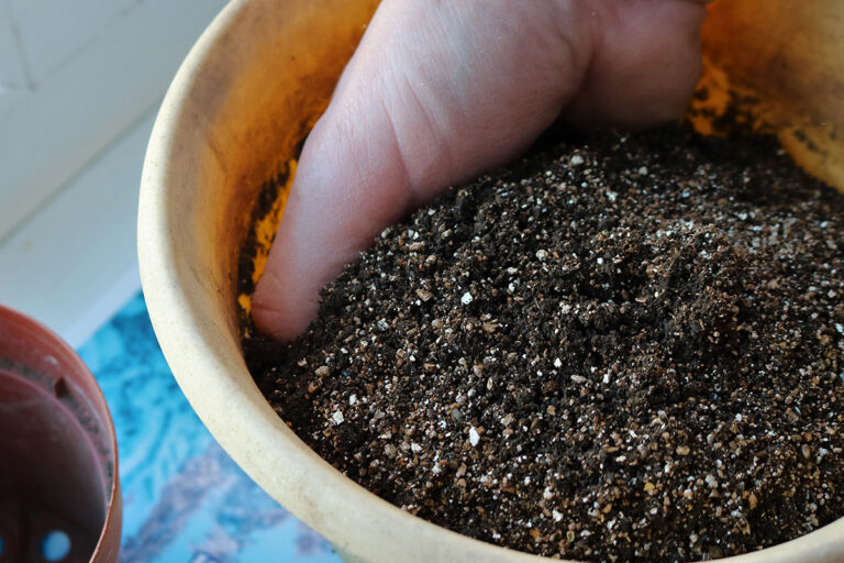 Can I Use Builders Sand In My Garden? - Patient Gardener