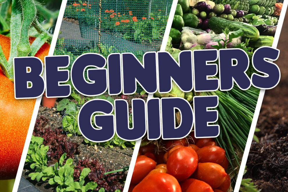 Vegetable Gardening For Beginners (Start Your Dream Garden!)