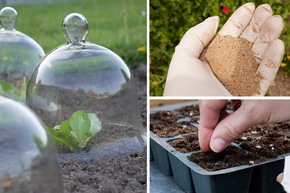 Remove Weeds In Block Paving (& Ensure They Don't Return!)