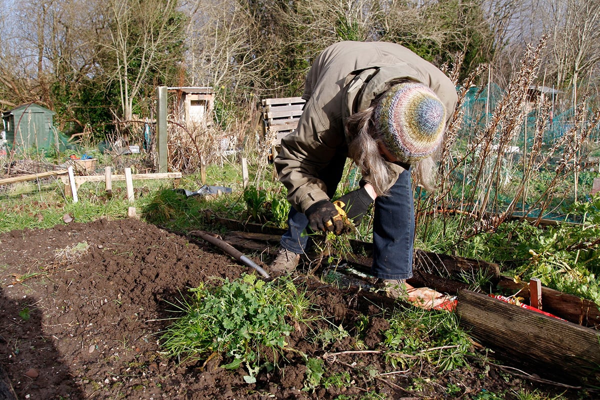 February Allotment Jobs Featured