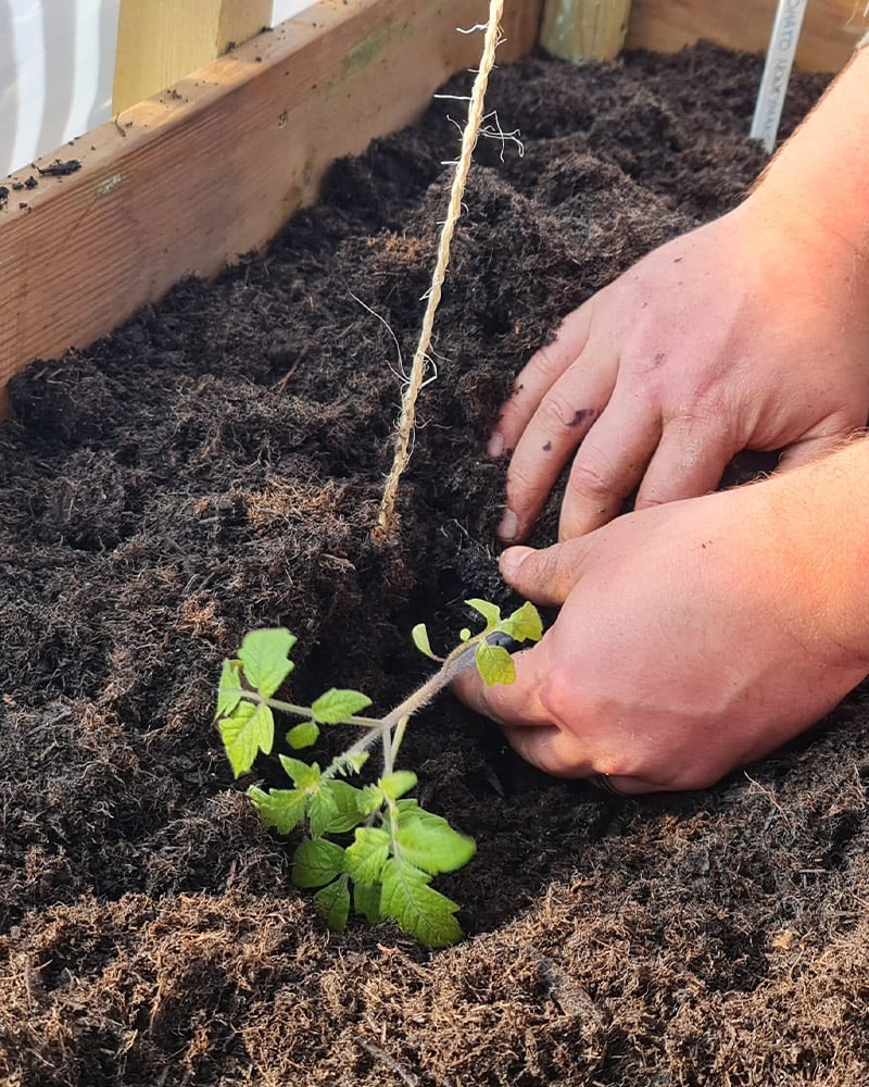 Planting Sideways