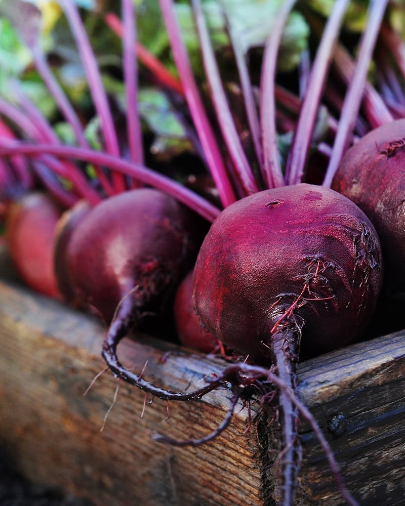 Beetroot