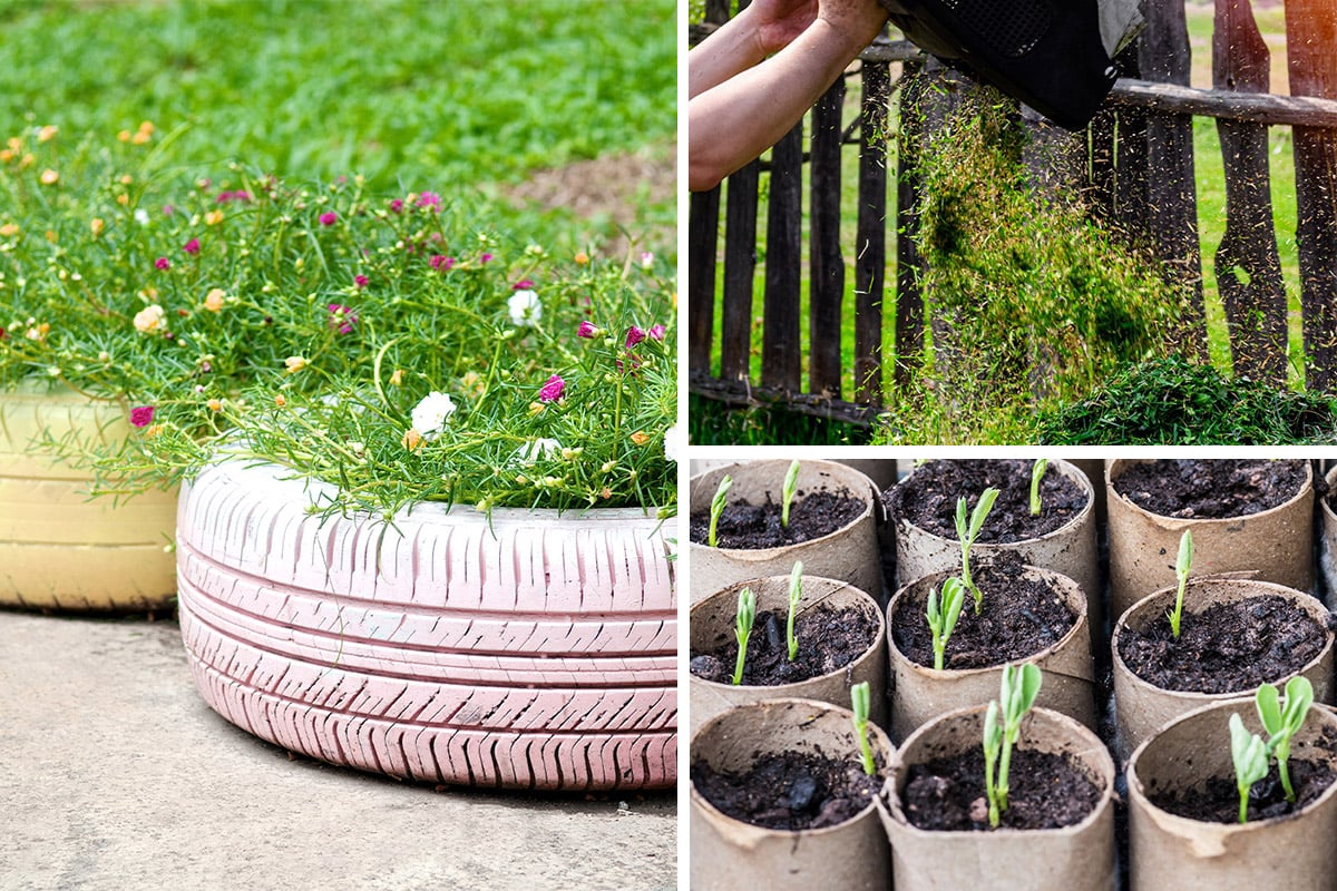 Free Gardening Ideas