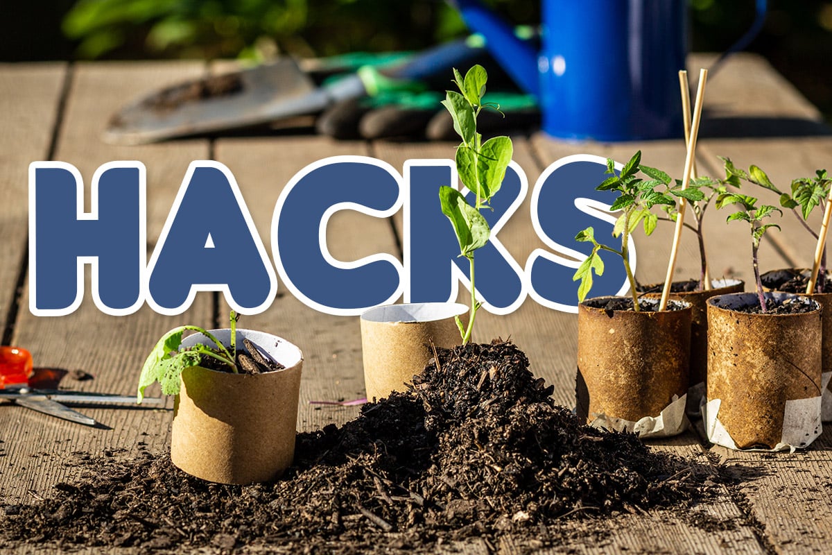 Gardening hacks that actually work