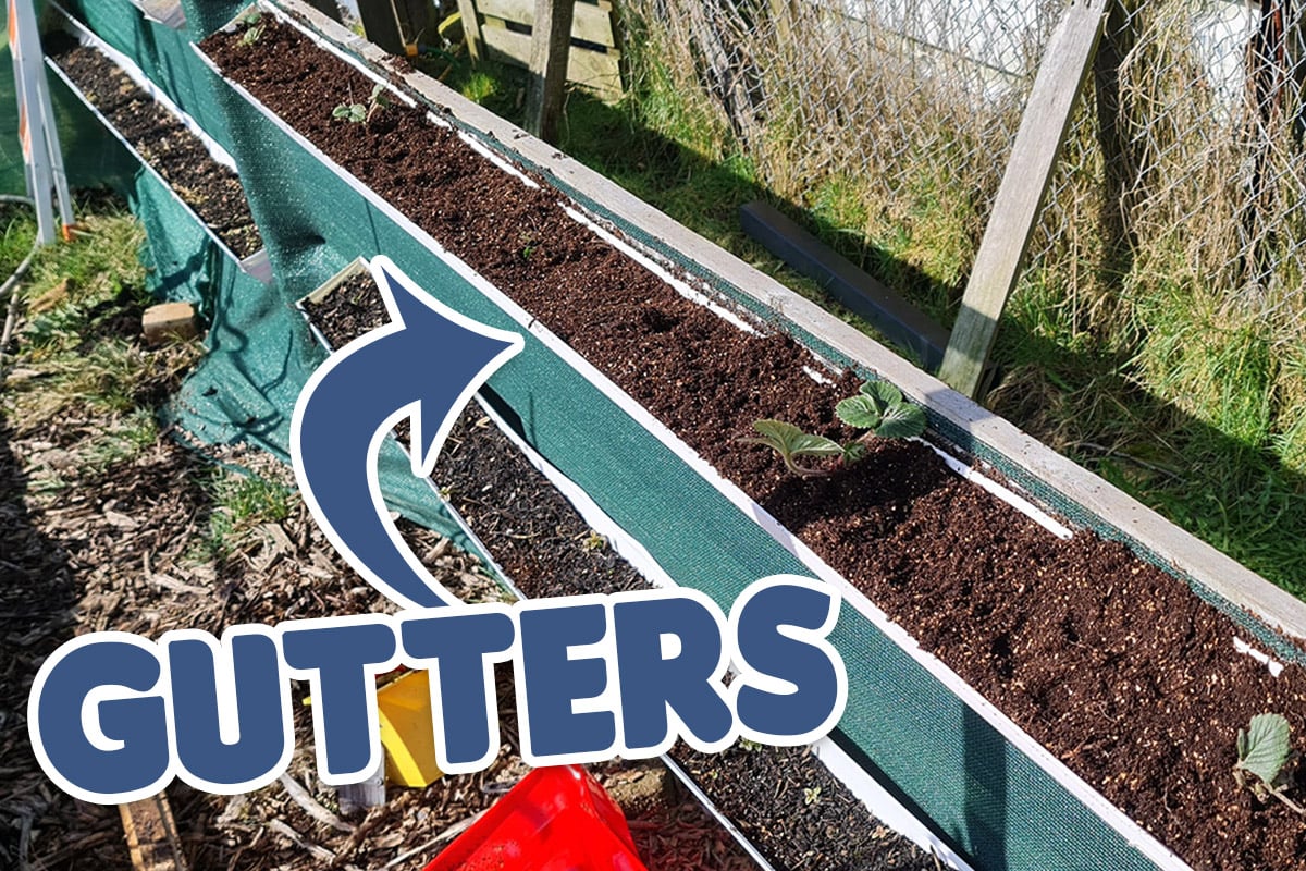How I Setup My Gutter Planters