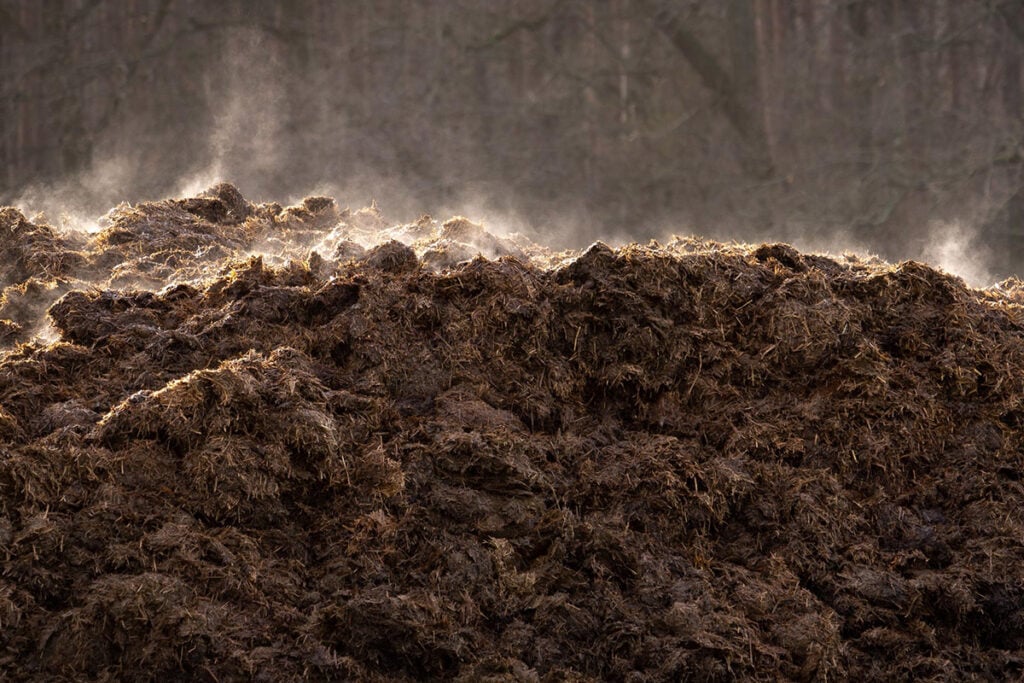 Manure