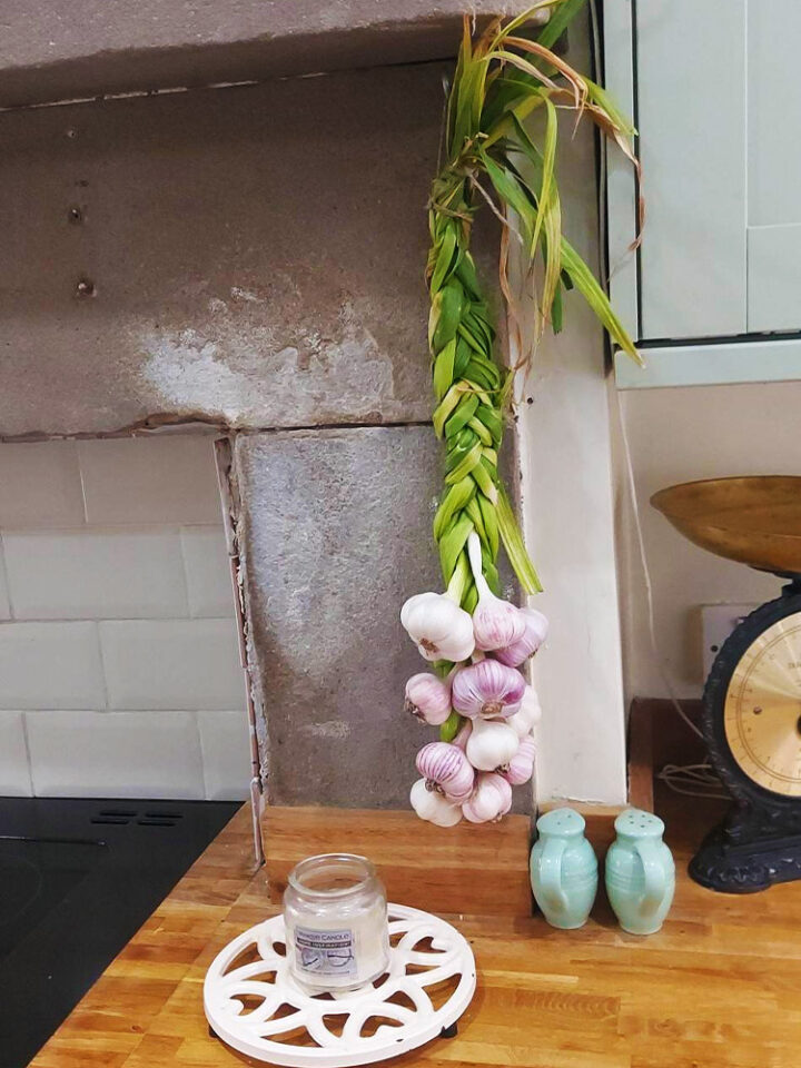 How To Braid Garlic - The Easy Way! - Patient Gardener