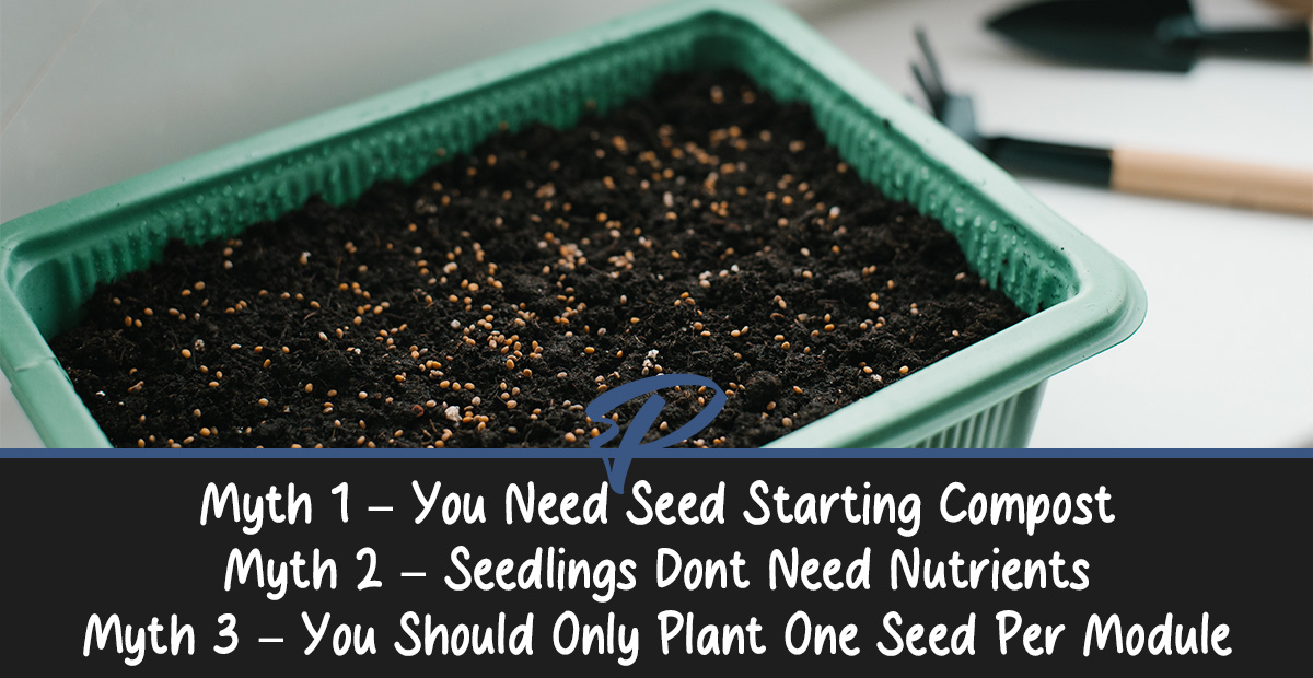 6 Seed Starting Myths