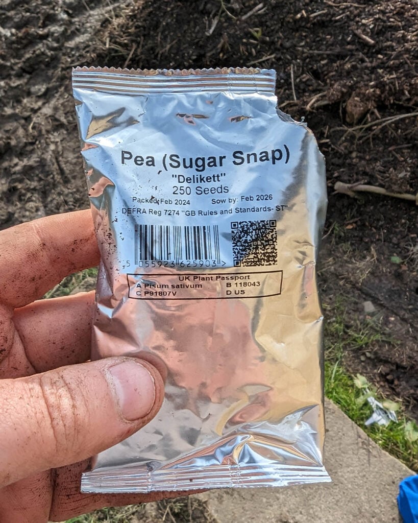 My pea seeds