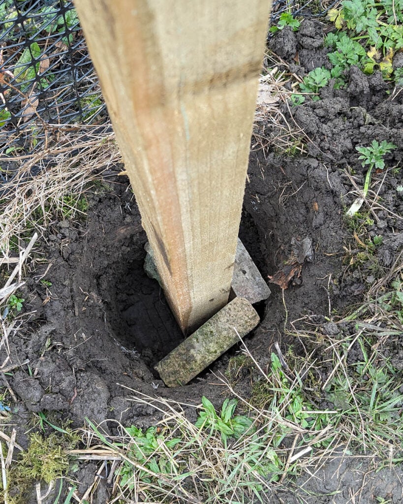 Place large stone in the bottom