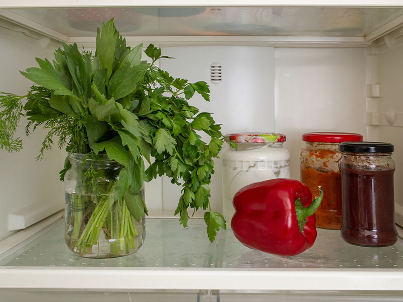 Loveage In The Fridge