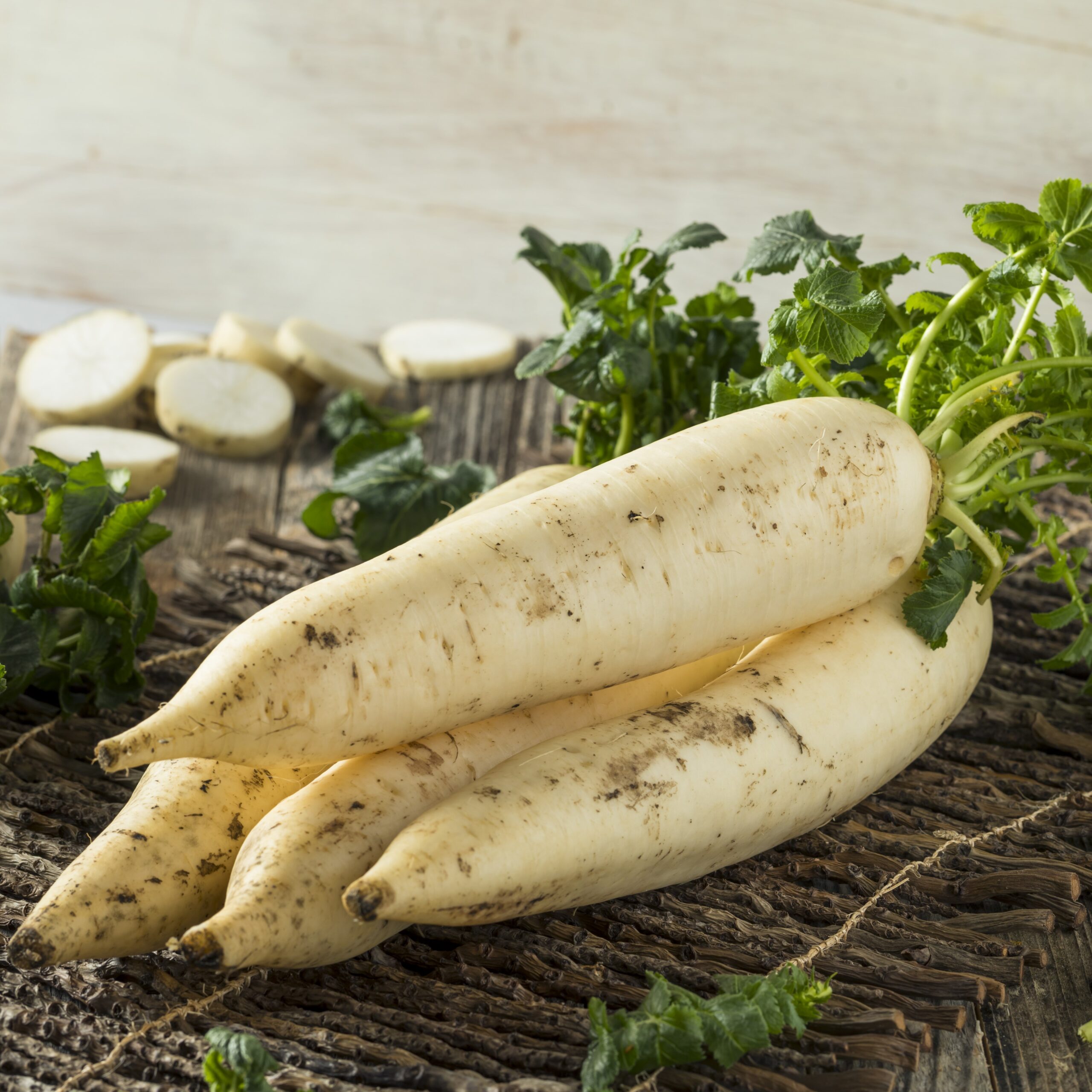 Radish Daikon Mooli Japana F1