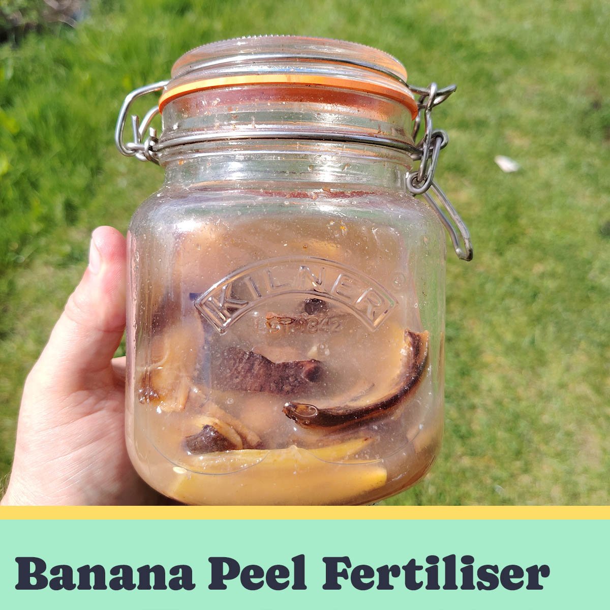 Banana Peel Fertiliser